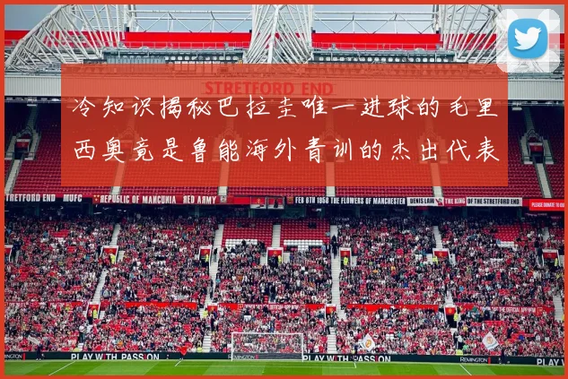 冷知识揭秘巴拉圭唯一进球的毛里西奥竟是鲁能海外青训的杰出代表