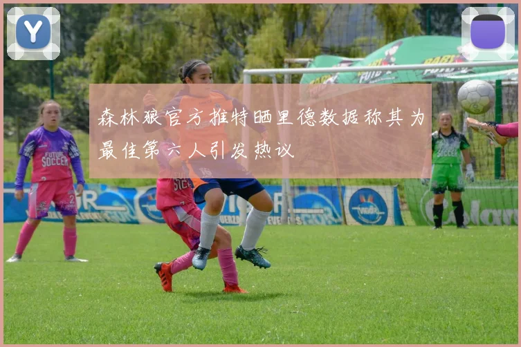 森林狼官方推特晒里德数据称其为最佳第六人引发热议